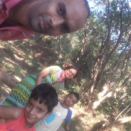 Johnson & Johnson Garden